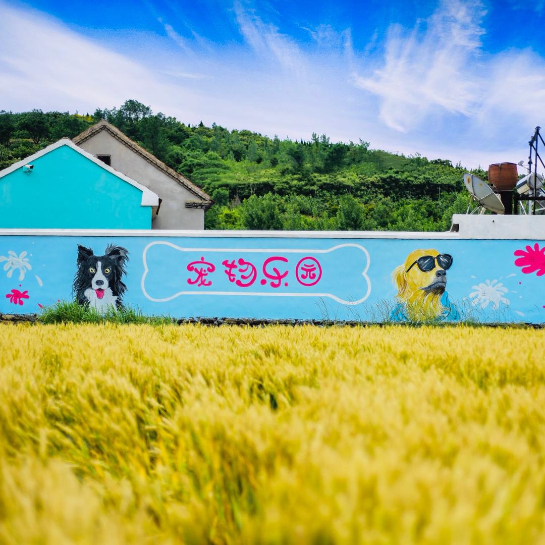 莱山区犬心犬意宠物俱乐部