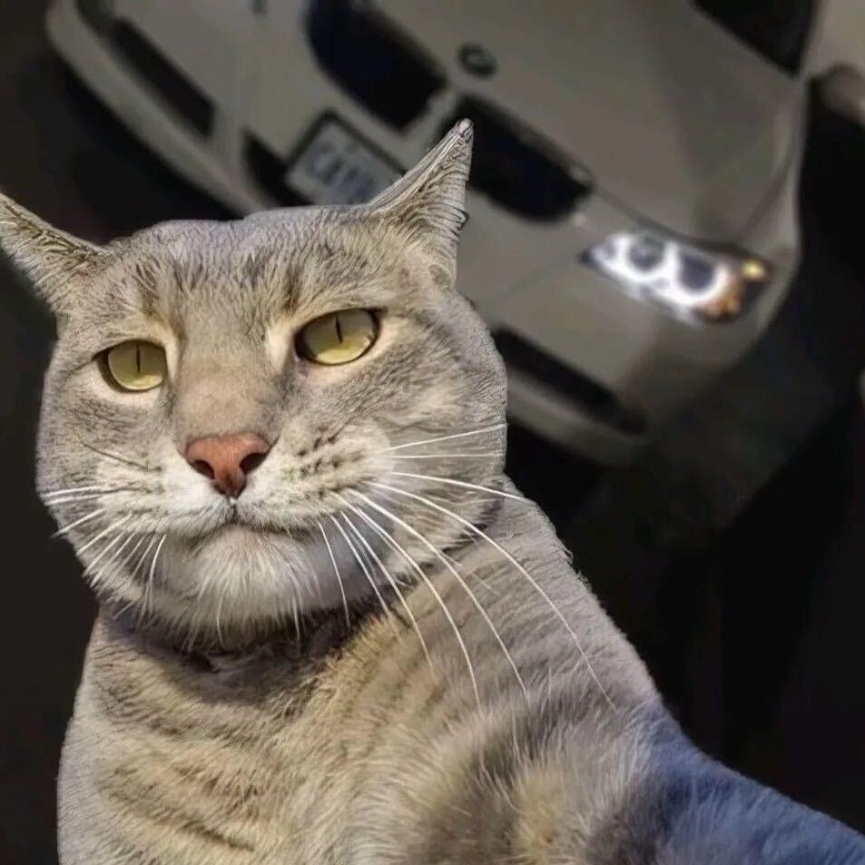 小鱼哥