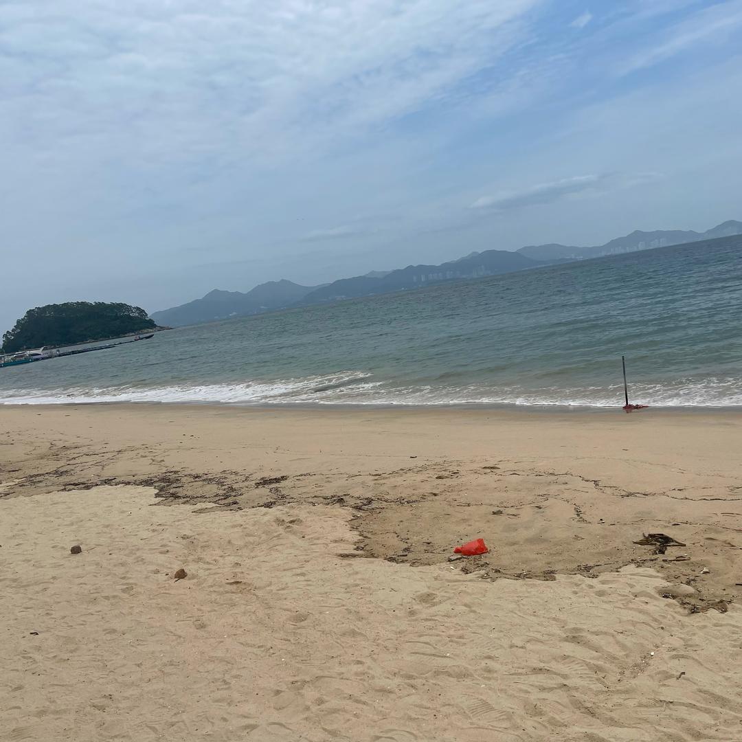 小鱼儿