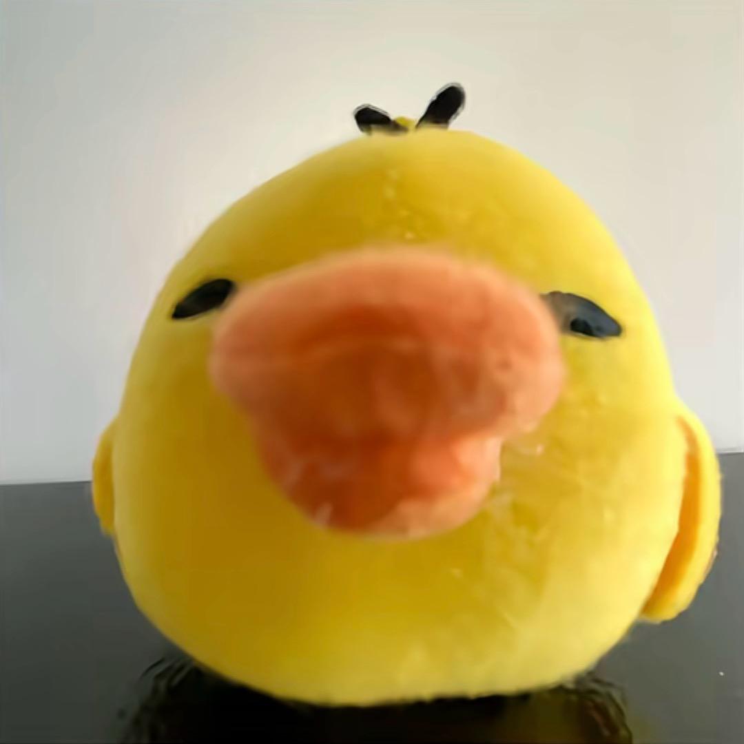 老公是棒子