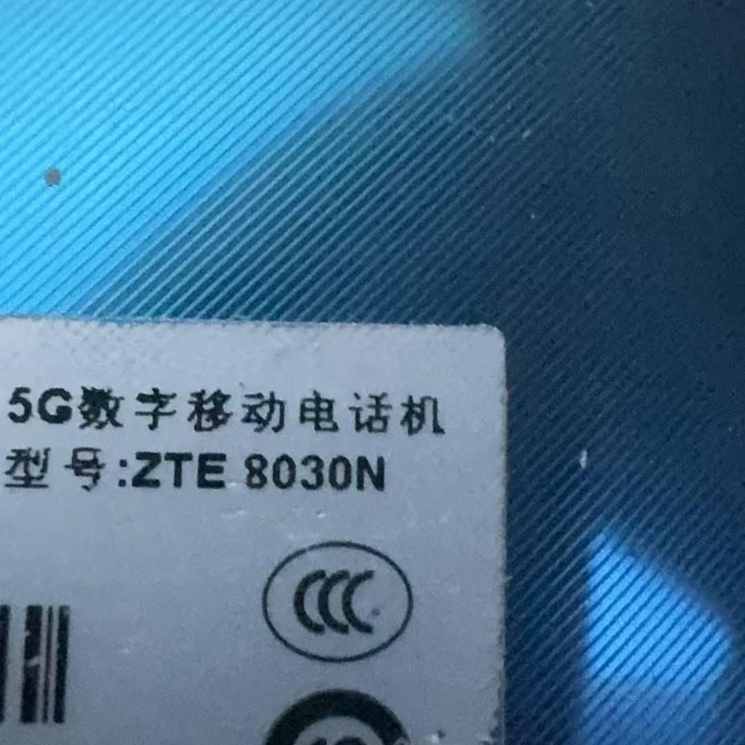俗家弟子