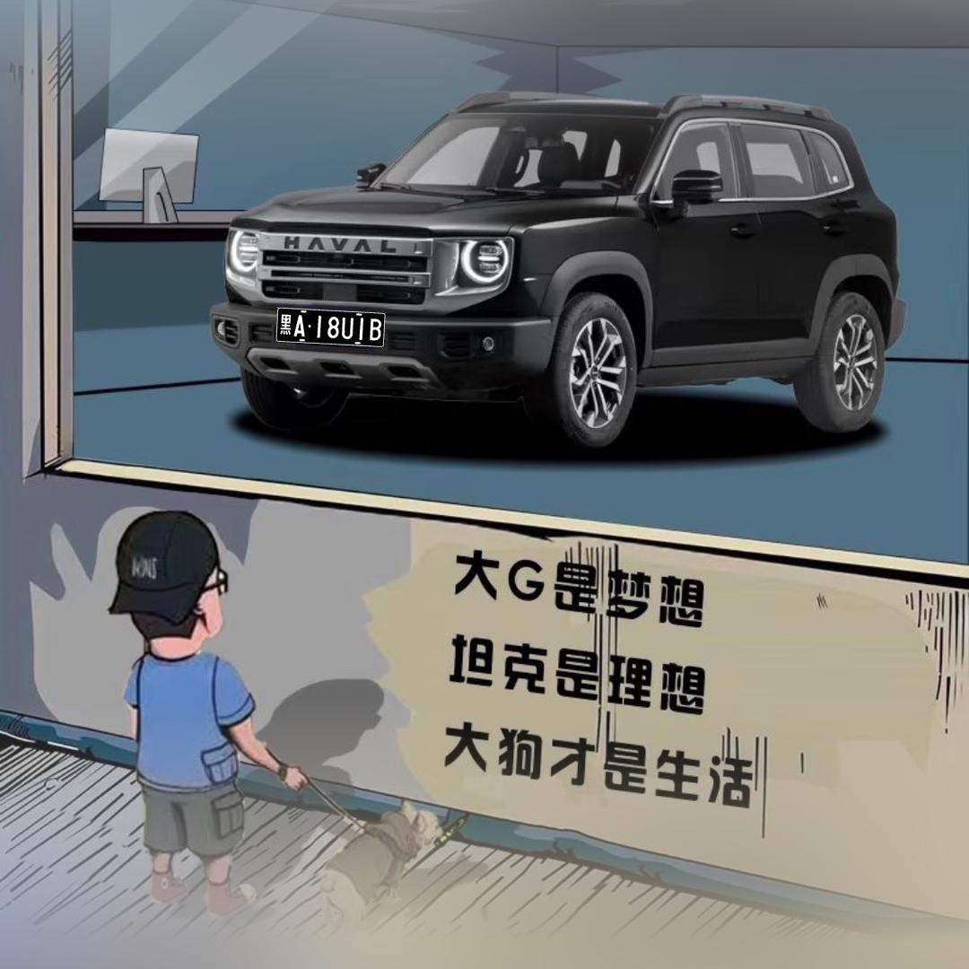 车小白（哈弗车主）