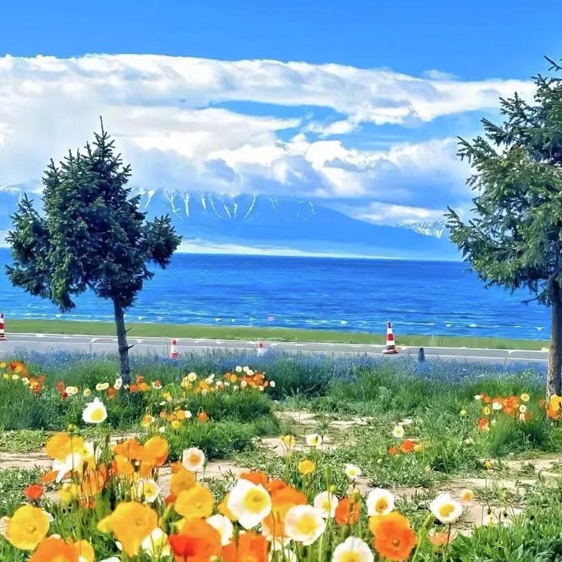 何但霖特专卖店