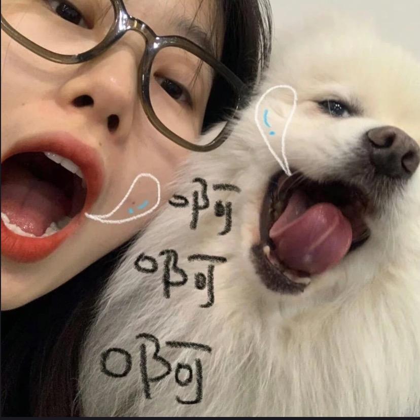 重生之我在临泉拍 拍立得