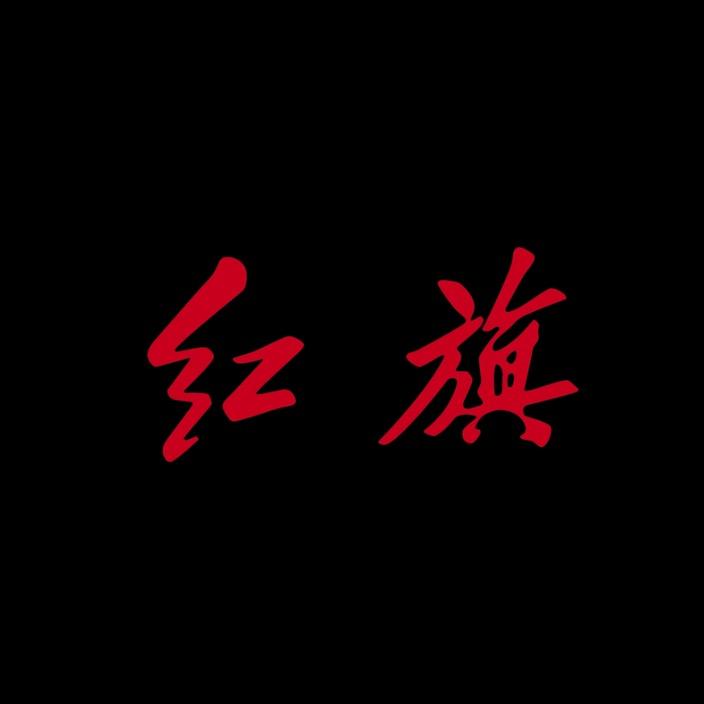 中国一汽-东方雅光