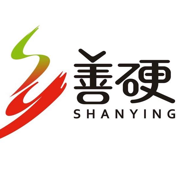 潮汕善硬猪肉脯