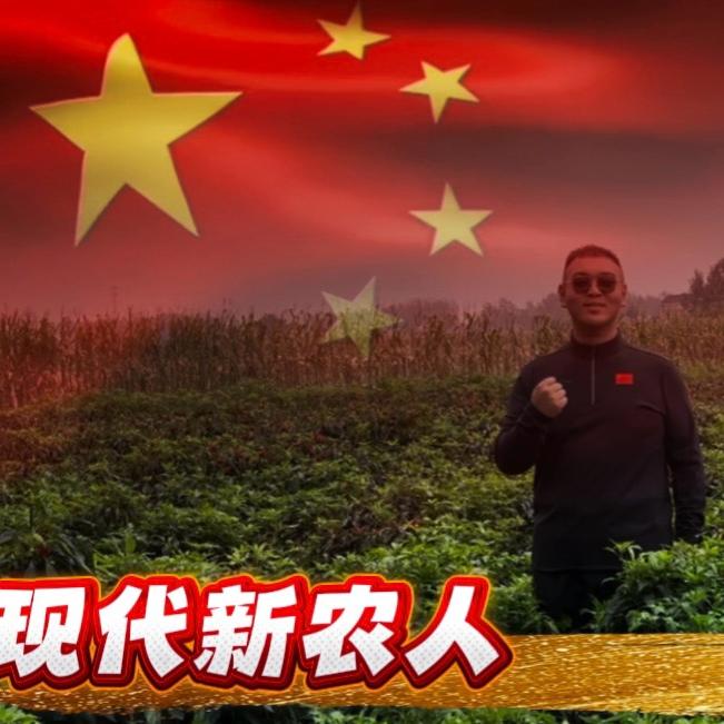 河南新远见小胖老师
