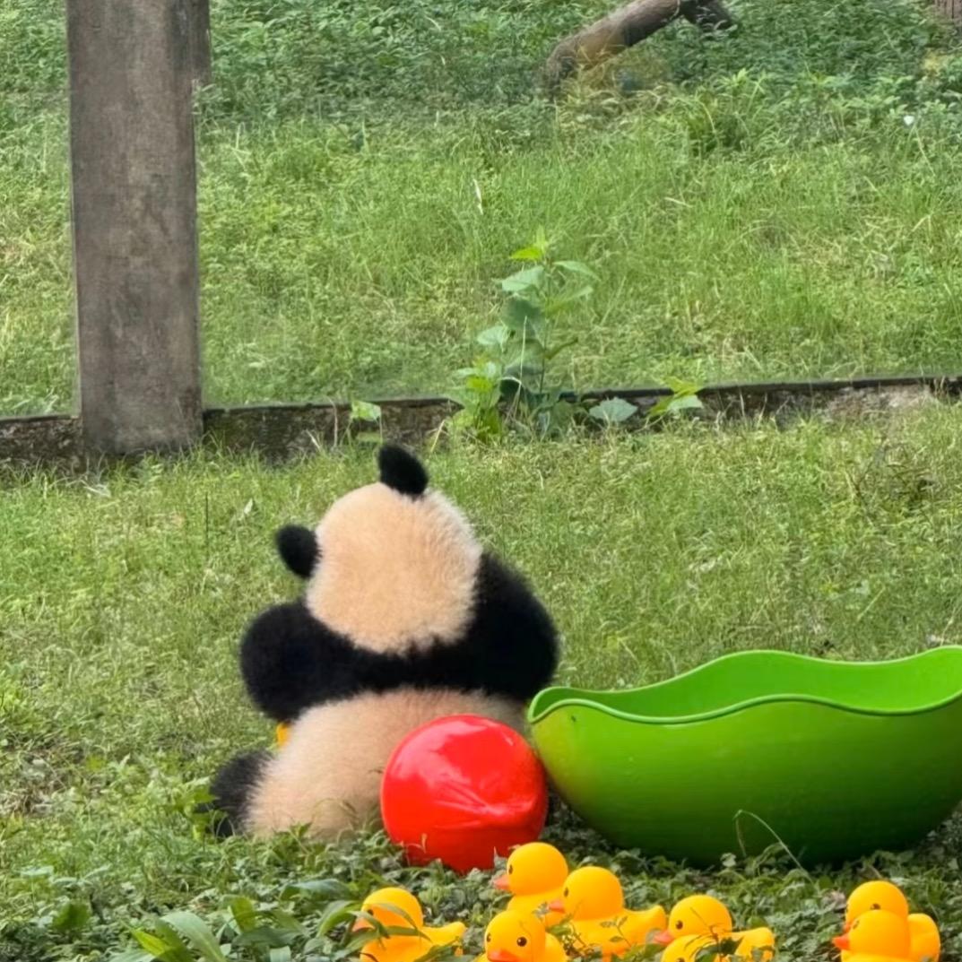 今天晚上很糟糕