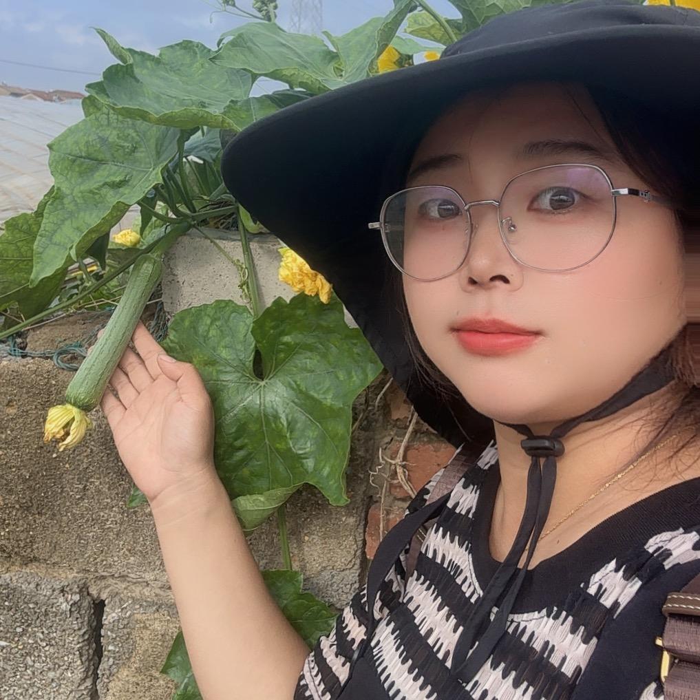 张小娟·优选