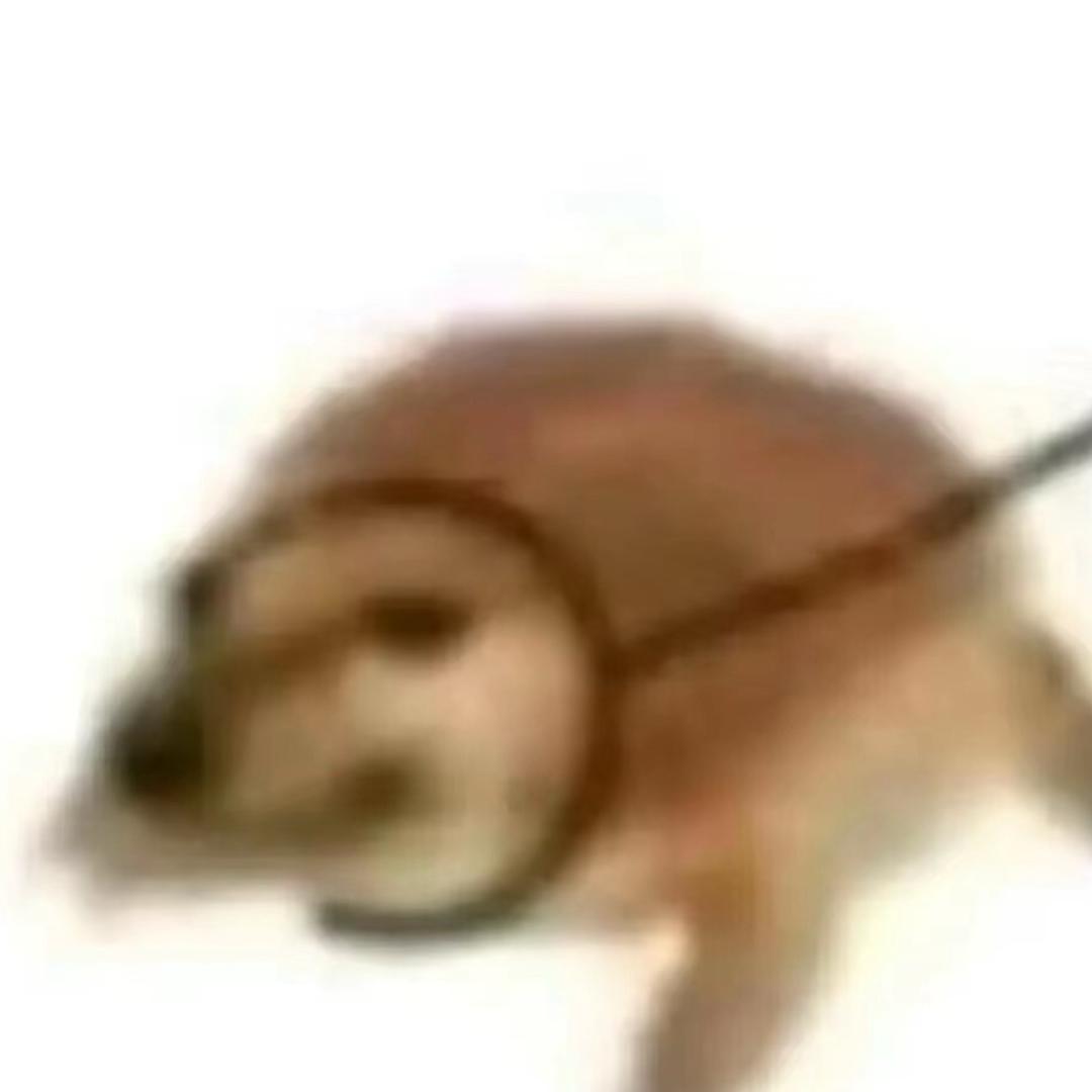 annnt