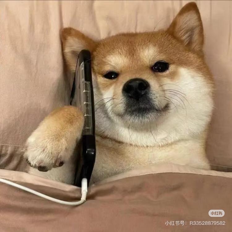 RF