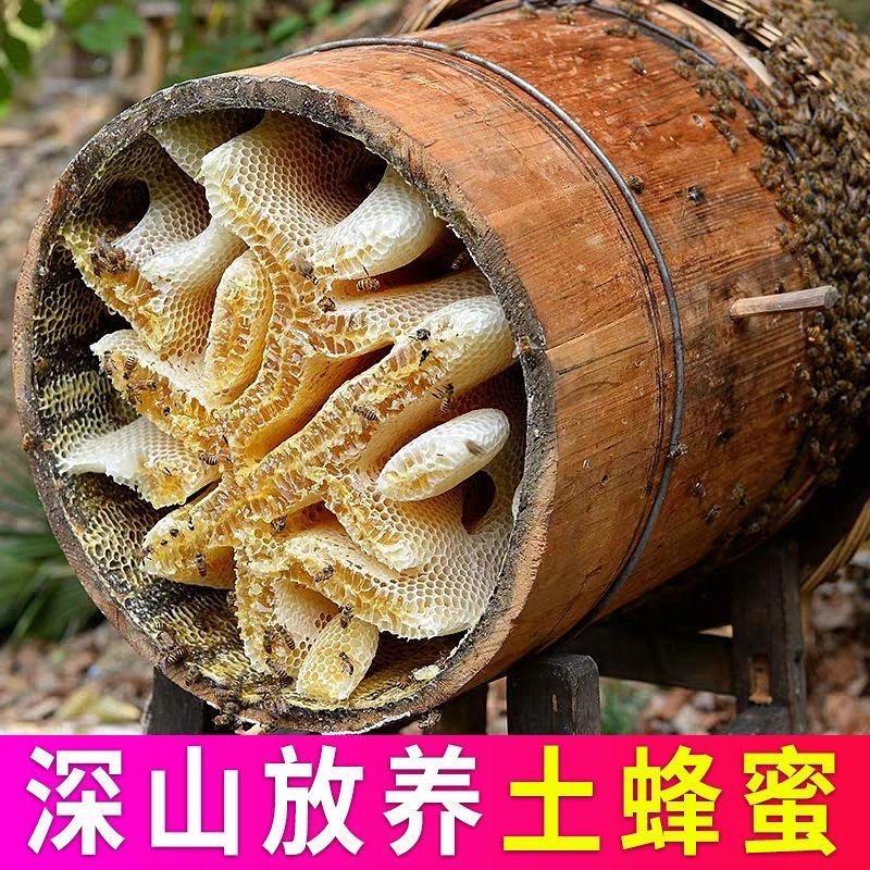 大山里的养蜂人