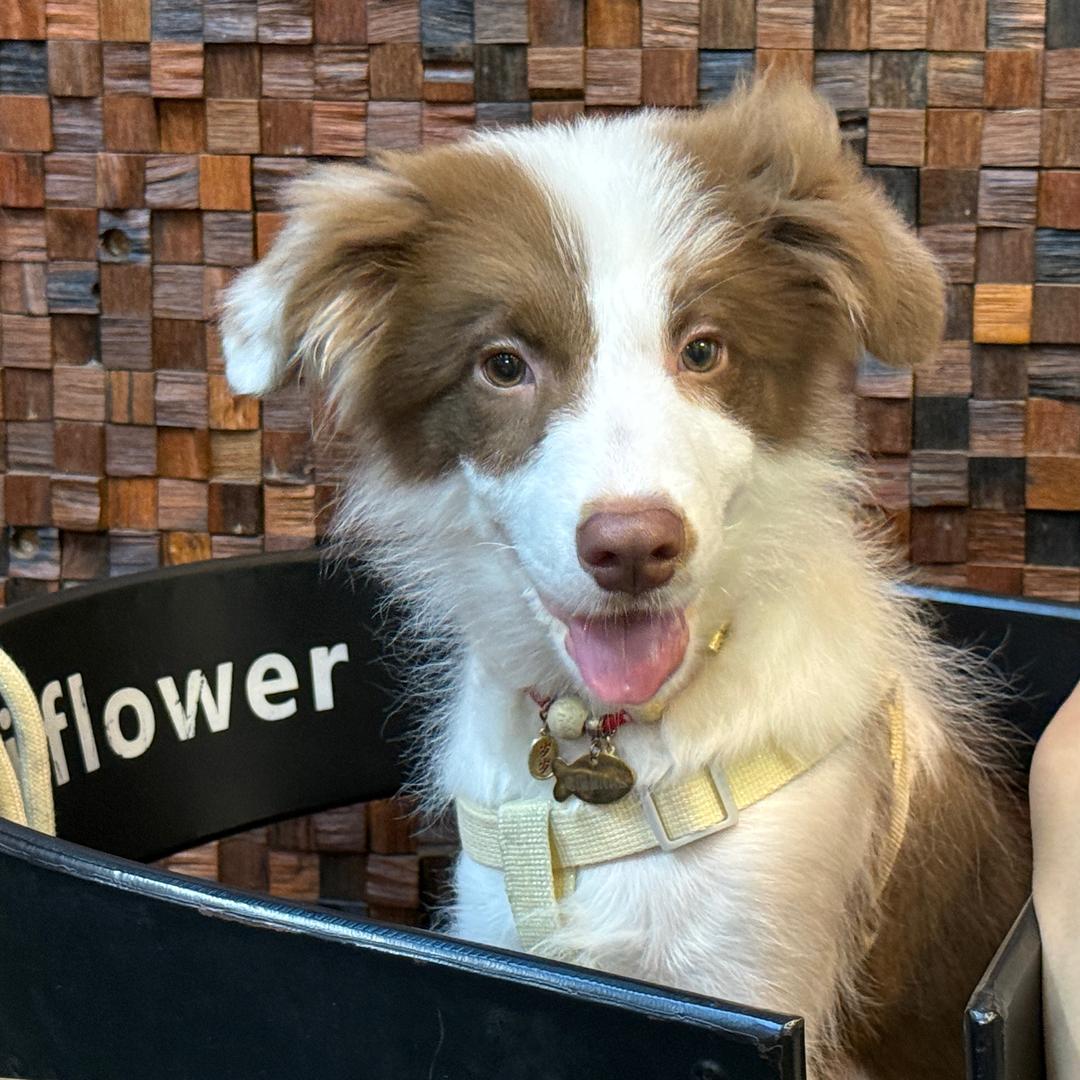 钱多多多多多多