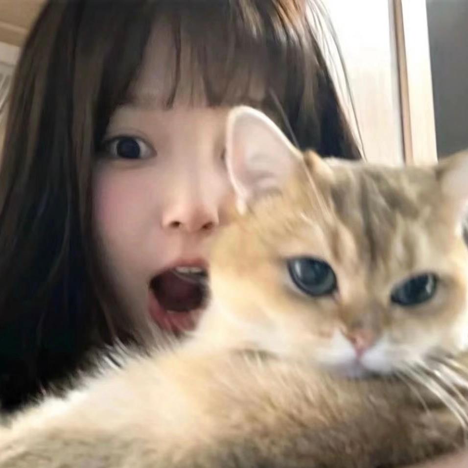 小鱼薄荷