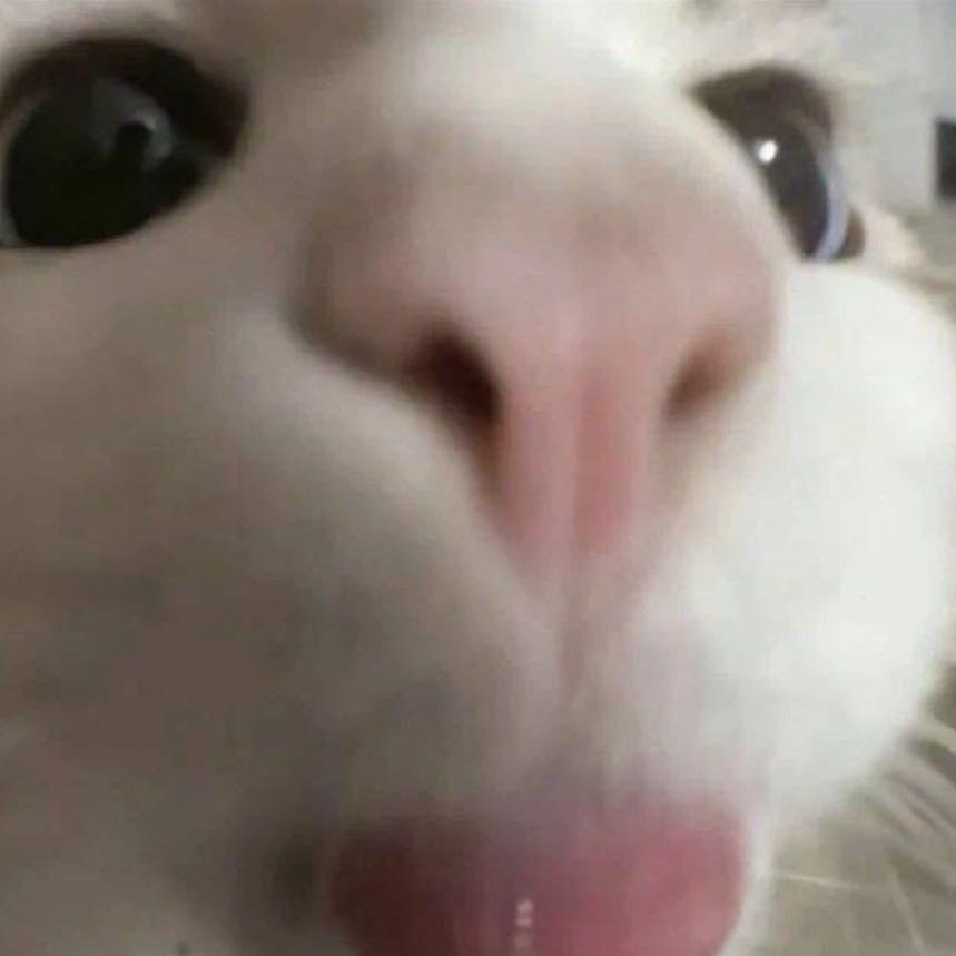 鱼块