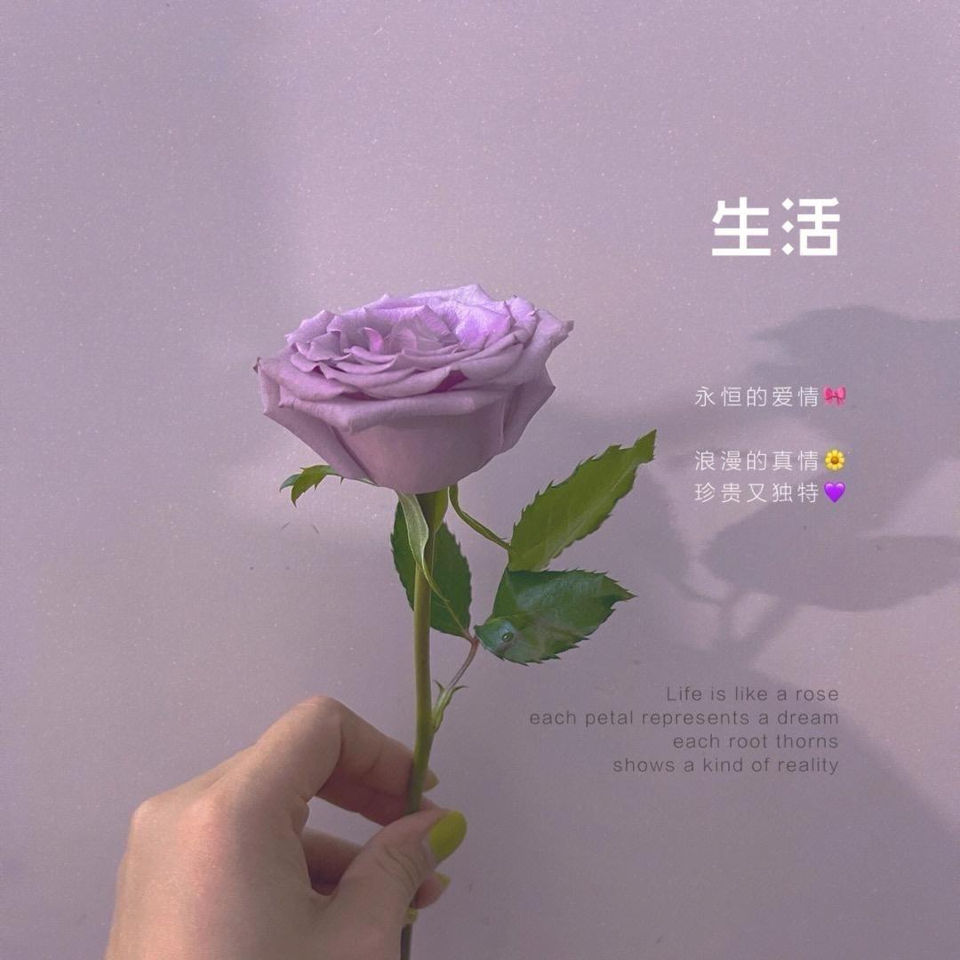养花轩轩