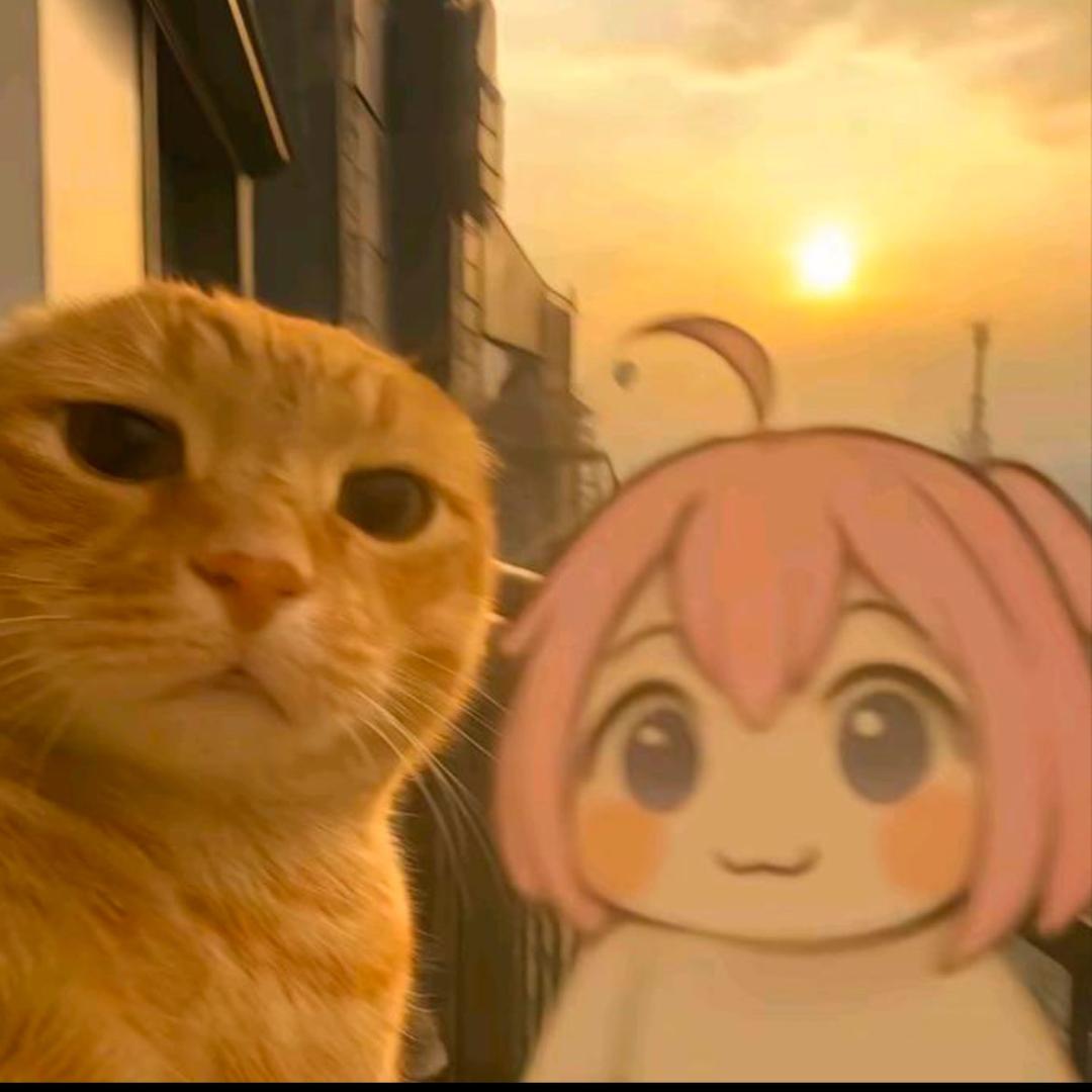 早点睡