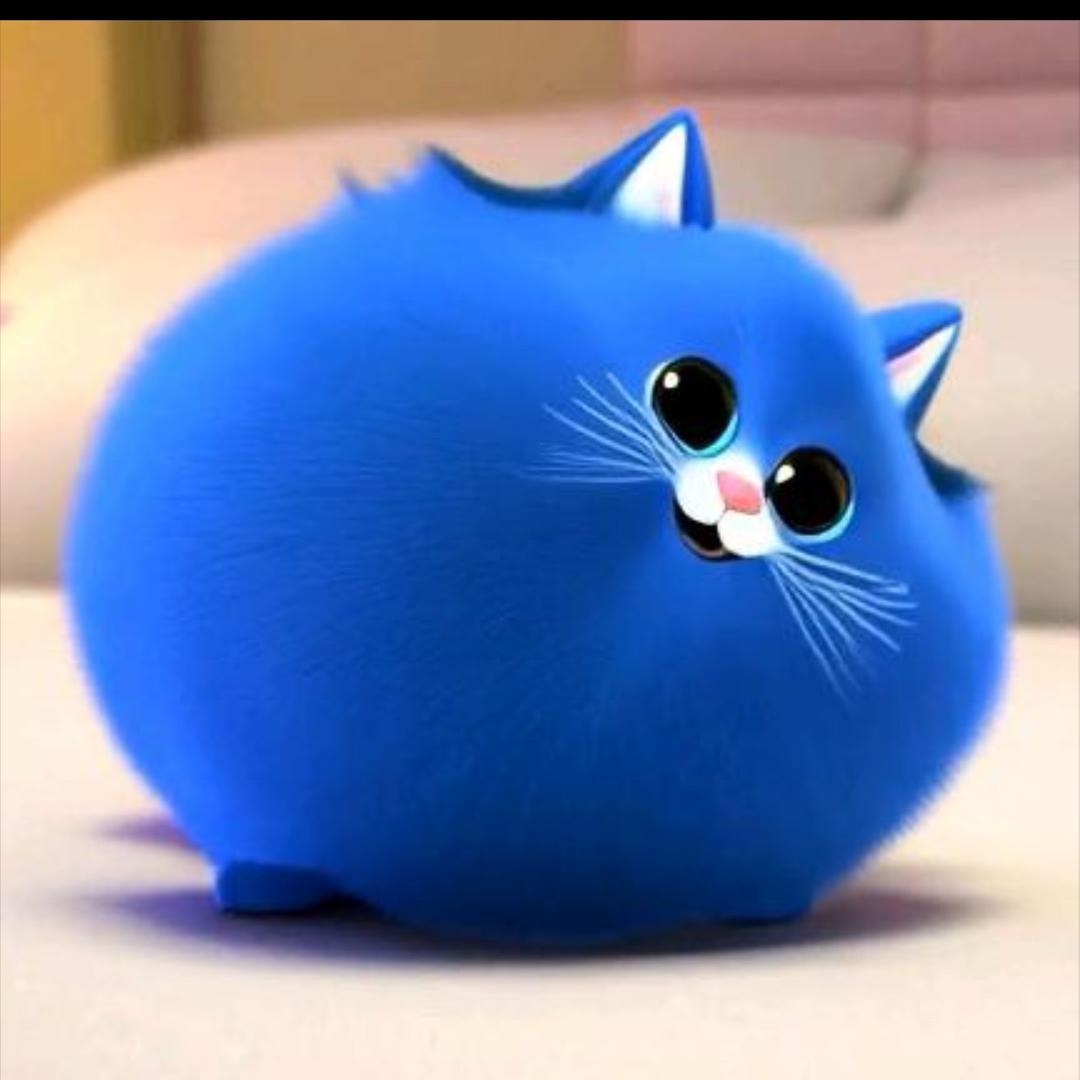 🌕🌖🌗🌘🌑🌒🌓🌔