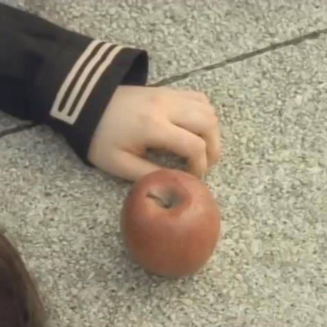 舌蜗