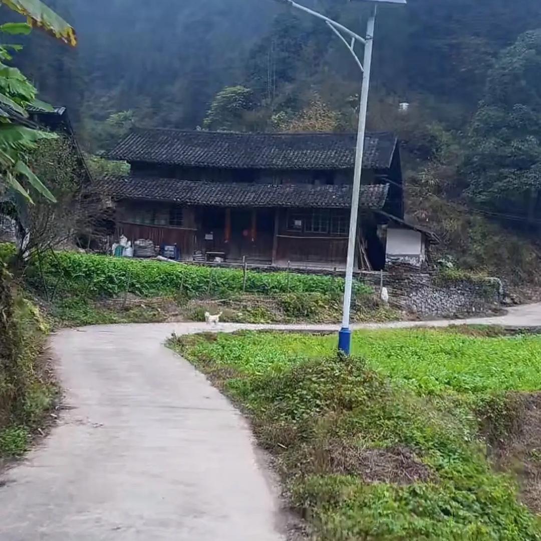 陈三