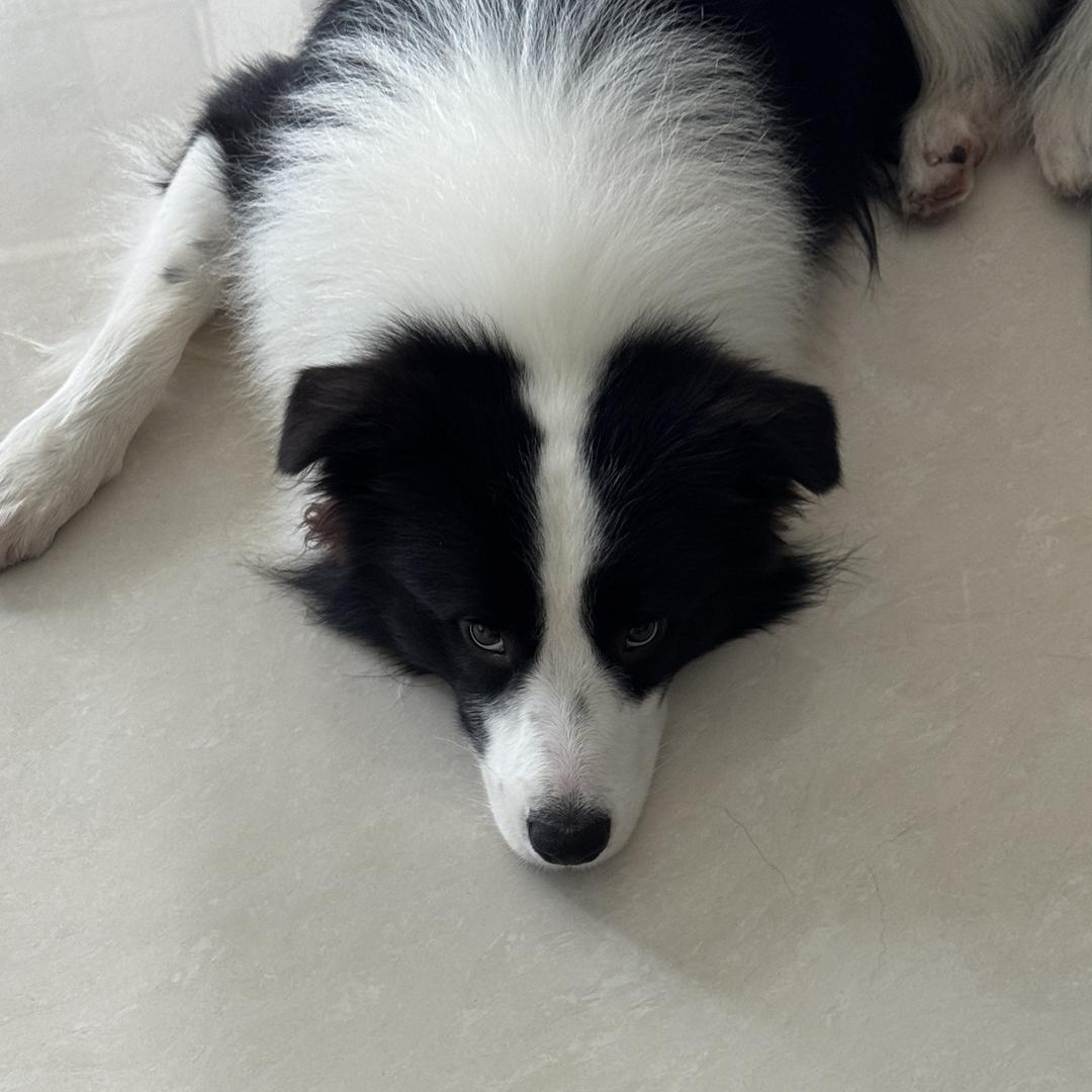 潇天酒类专营店