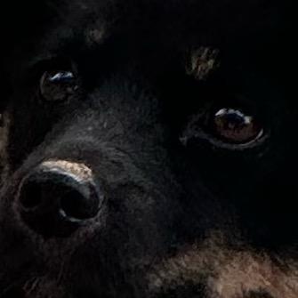 ？