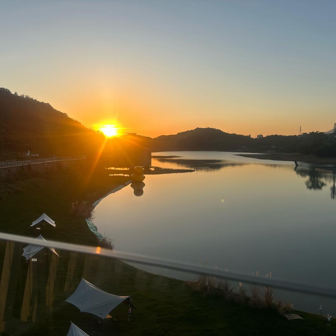 🪾半❄️仙🐦‍🔥半☔️醒💦🍹