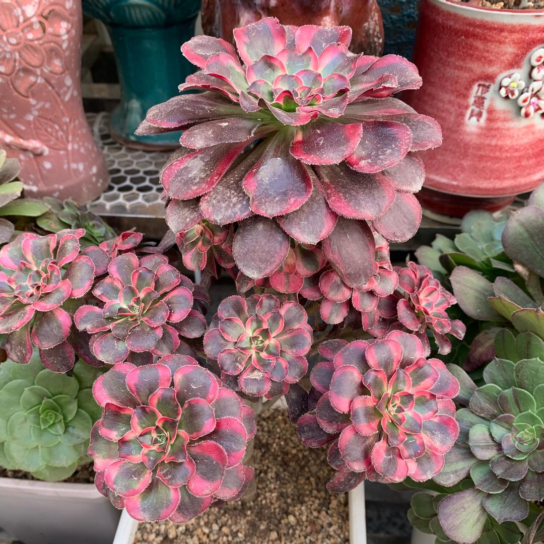 珍惜当下💞