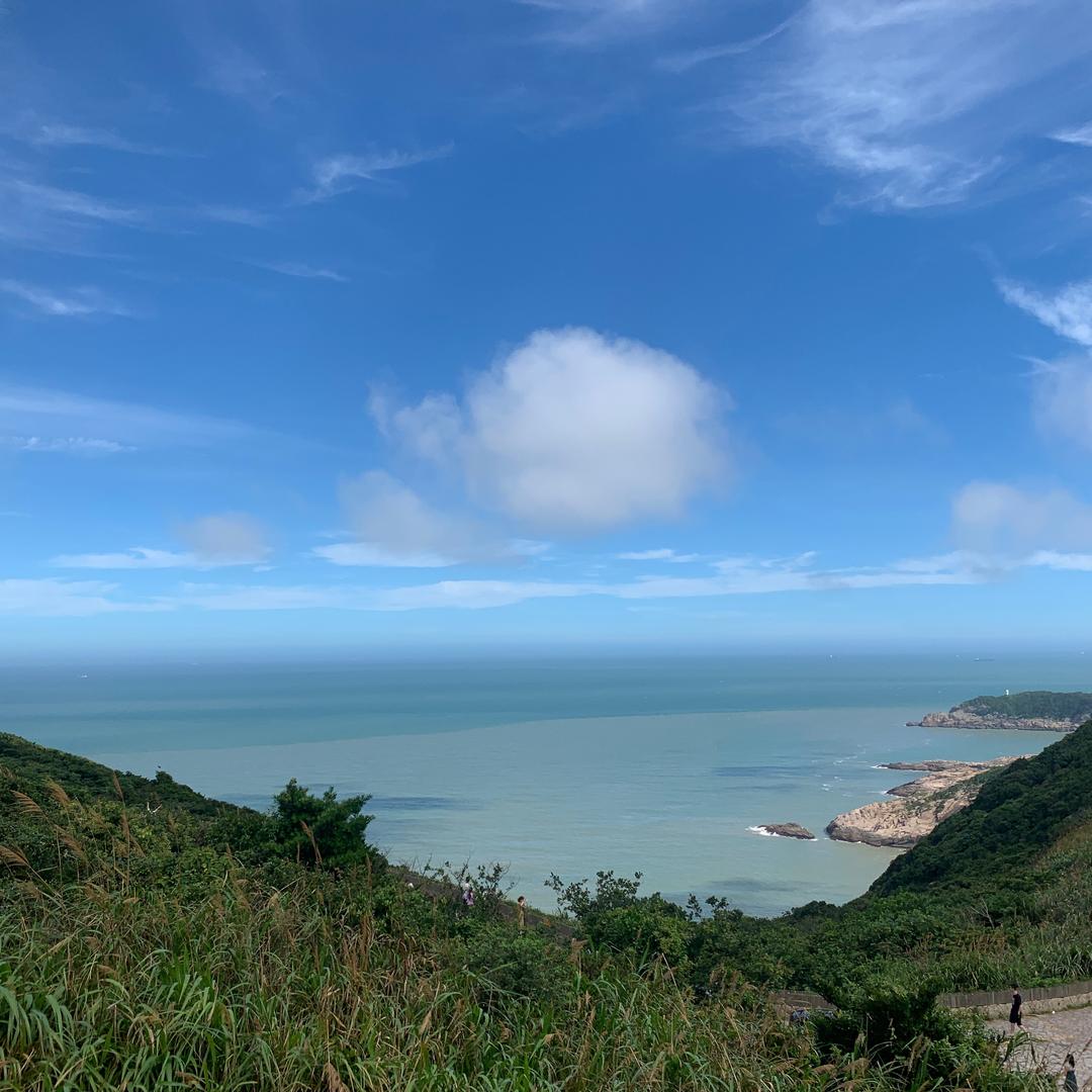锦鲤小阿姨