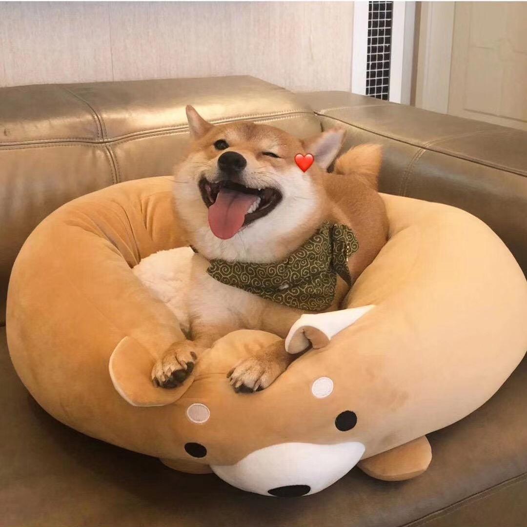 汤臭臭
