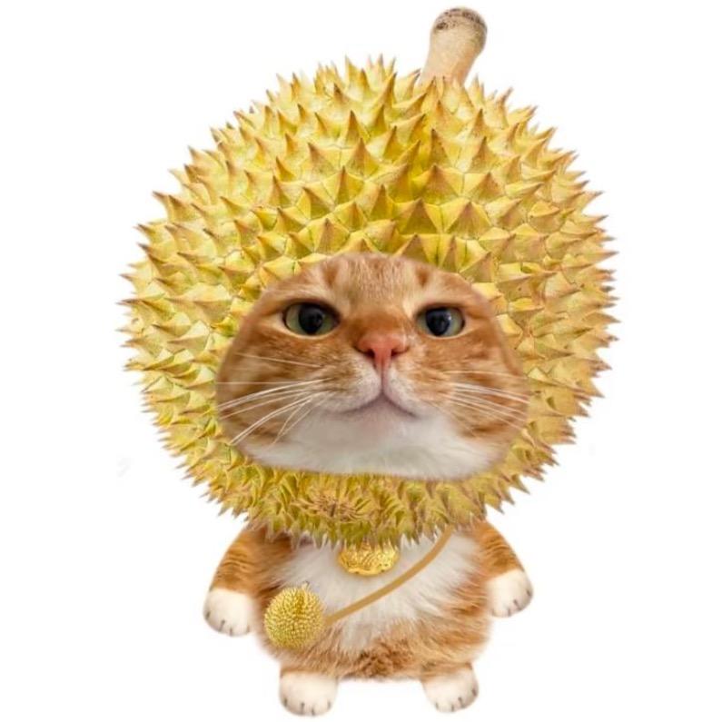 ^崔胜铉