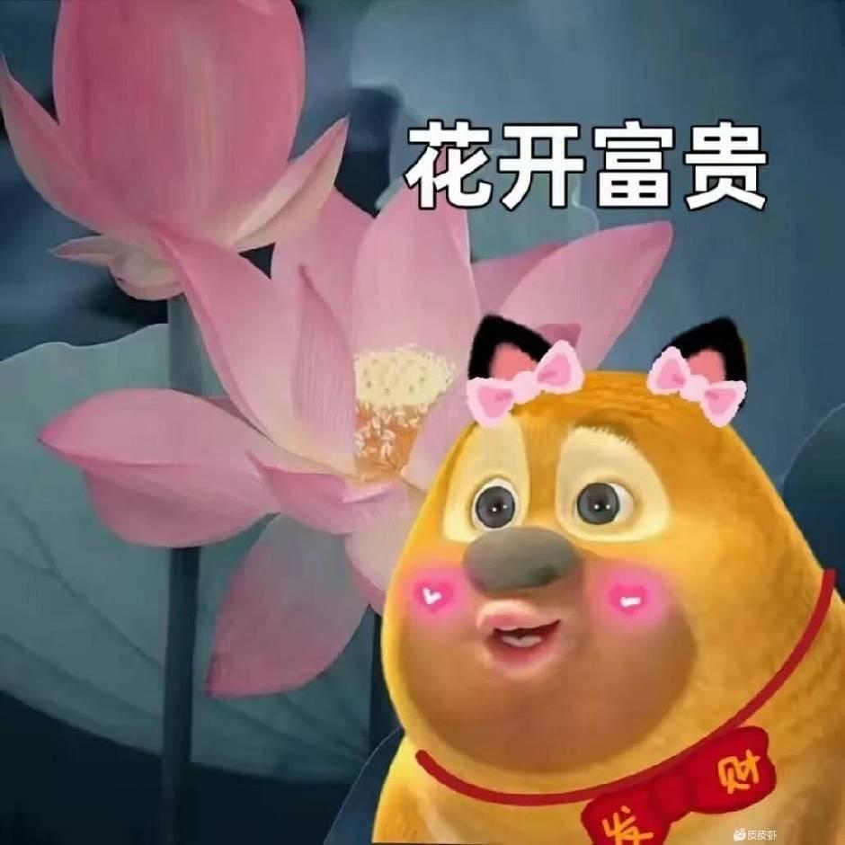 财神爷偏爱的刑侦小何🌝