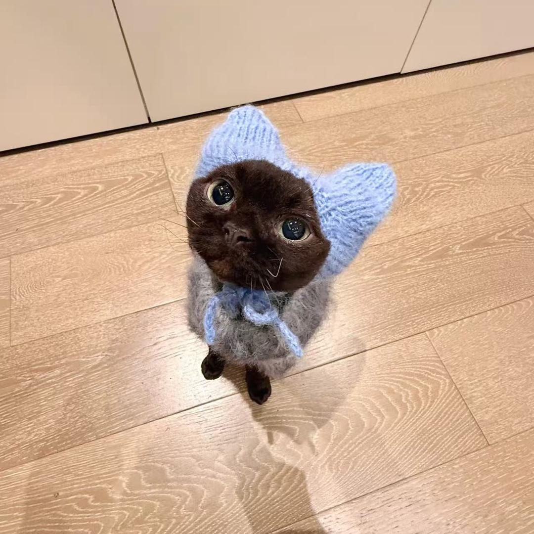 大大怪将军.🐡