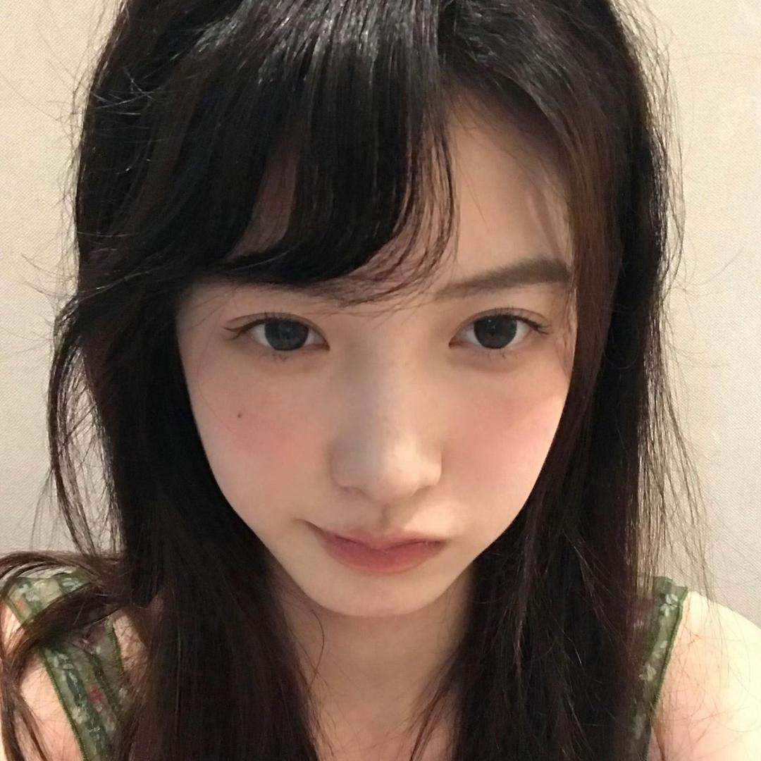 叮叮猫