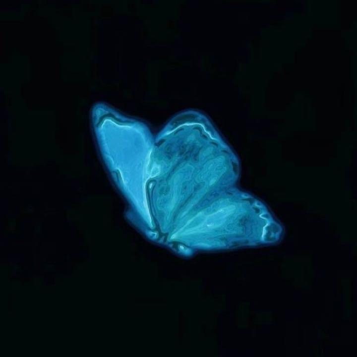 Bfy_11