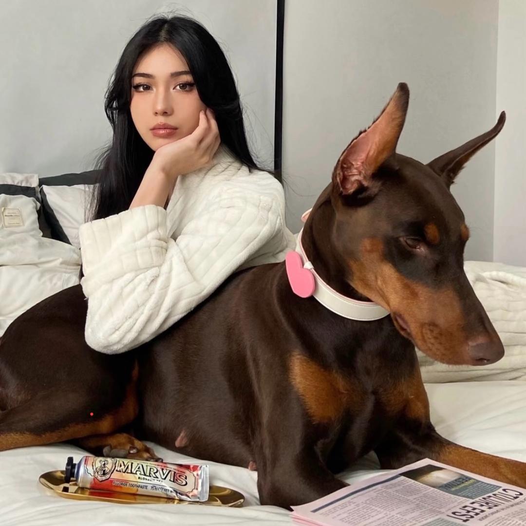 金子爱养宠物