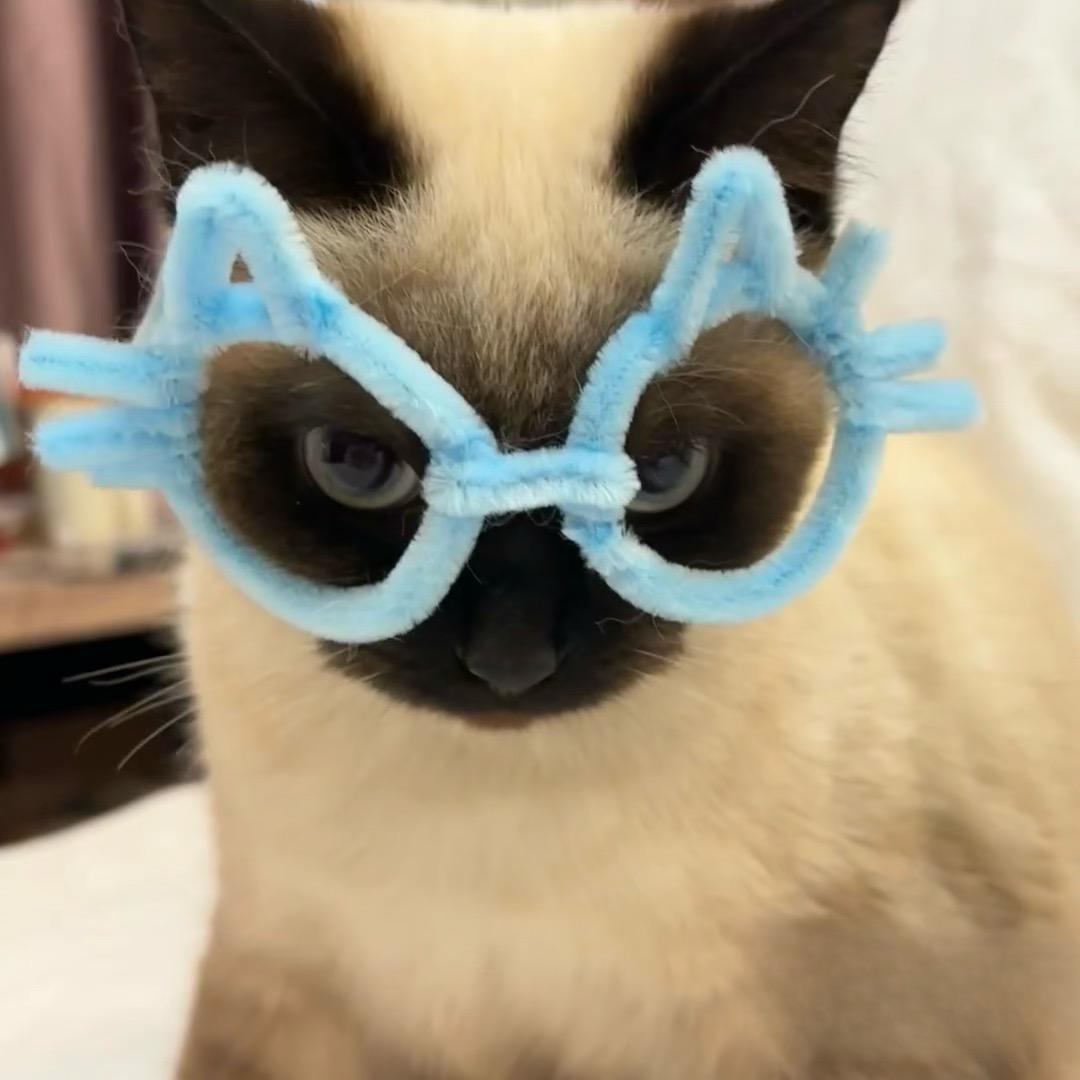 椒盐土豆条大王