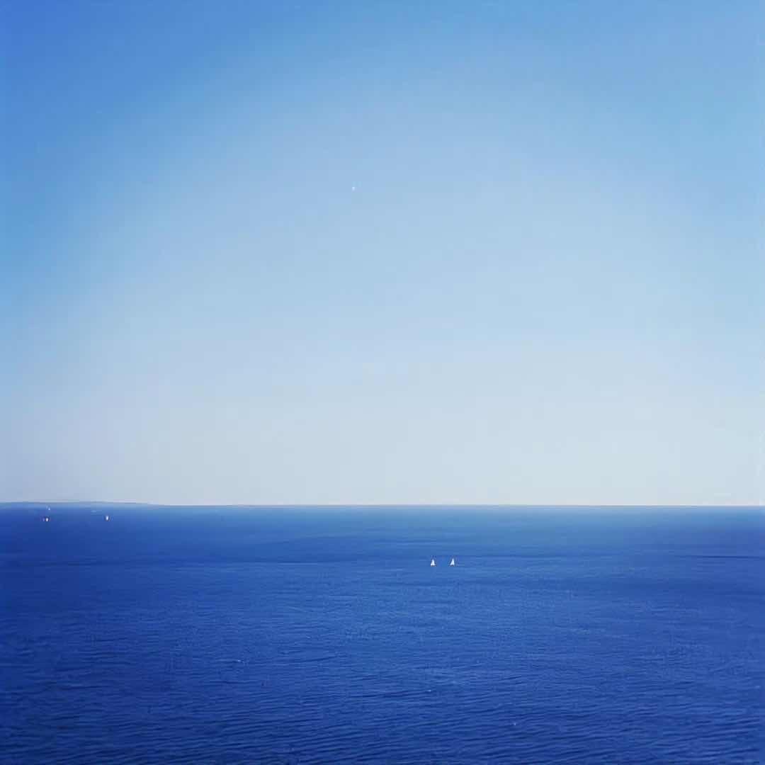 杉杉小太阳