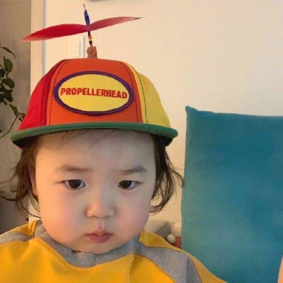 是狮子不是狮纸