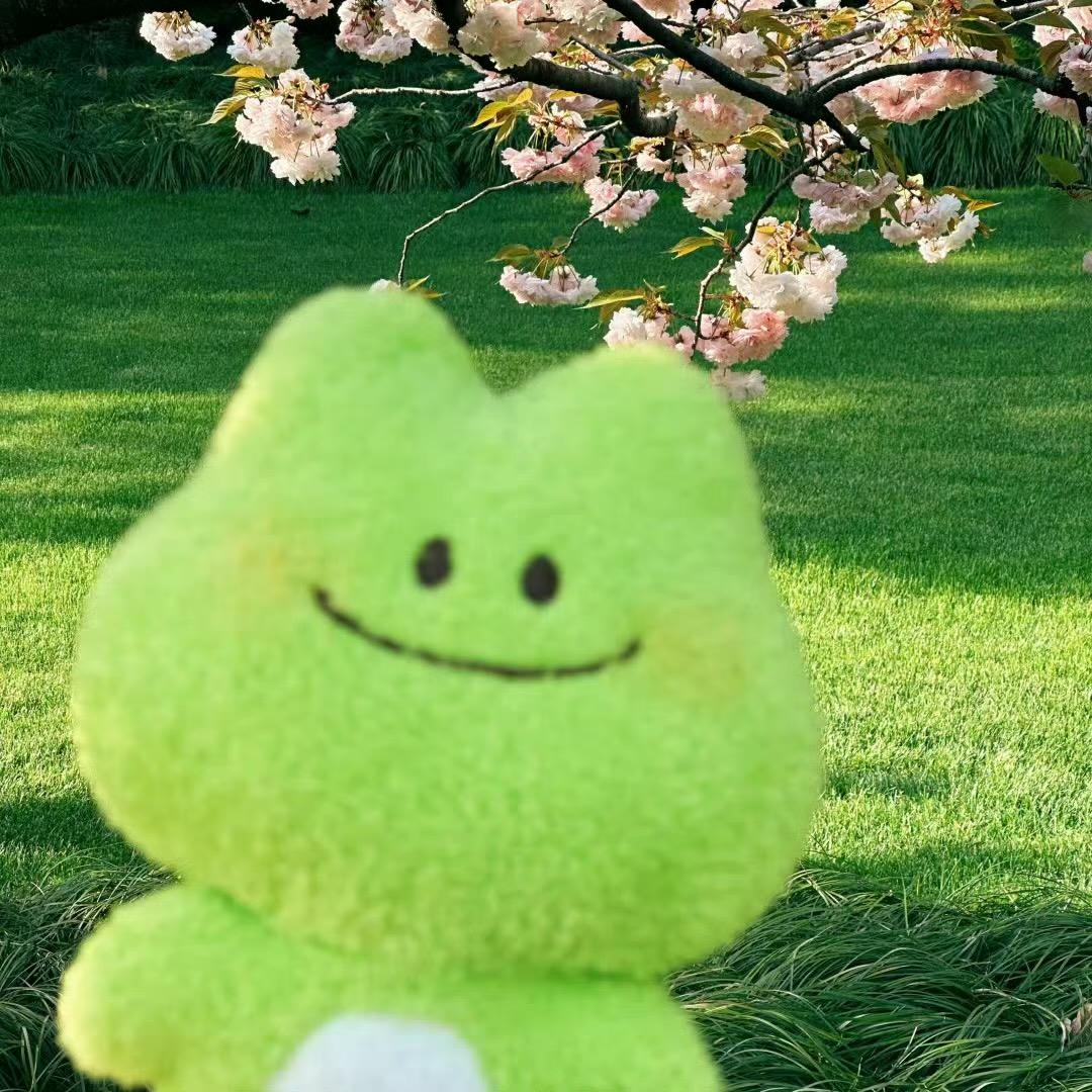 세요(真丽斯专场)