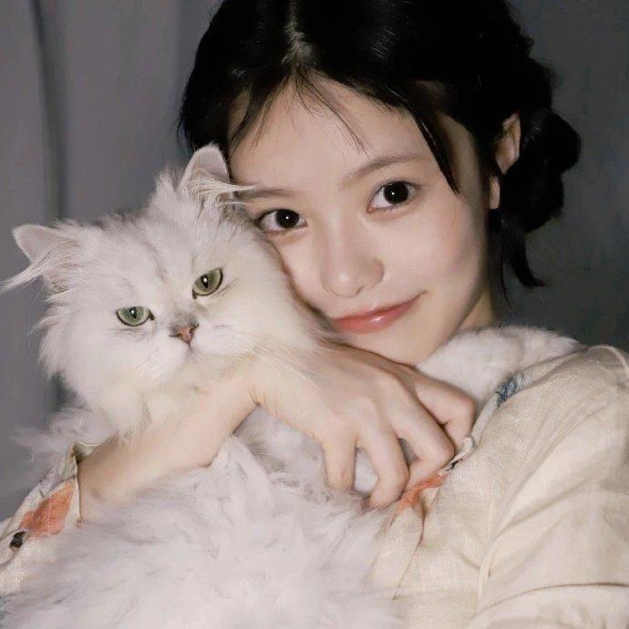 哈尼吖✨
