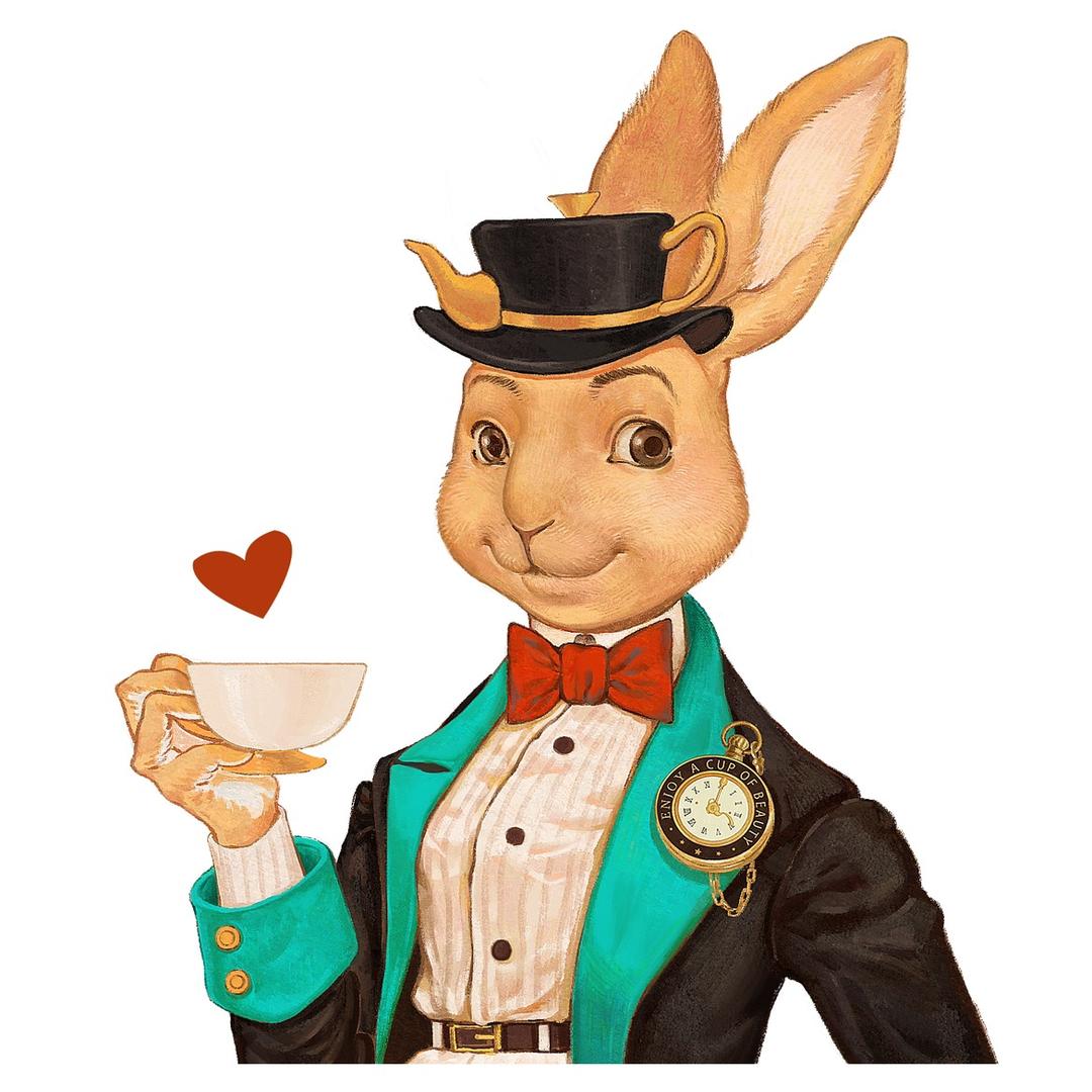 Blan Bunny布兰兔杭州可果品牌管理有限公司茶叶专卖店