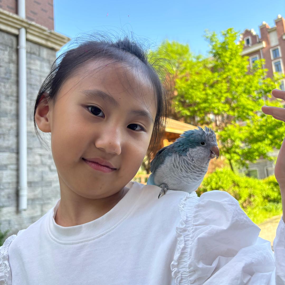 胖胖是只鹦鹉🦜