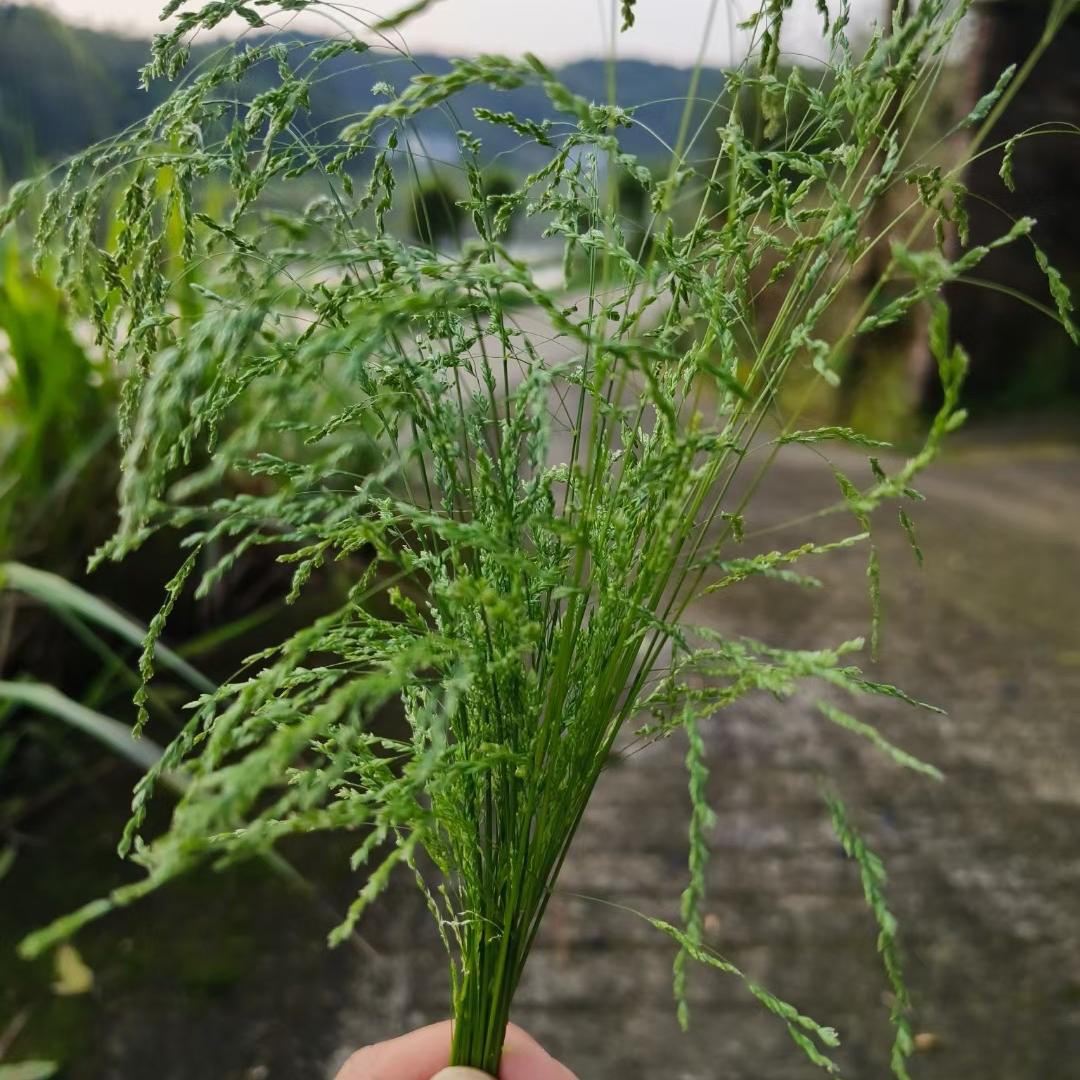 爱太鞋业