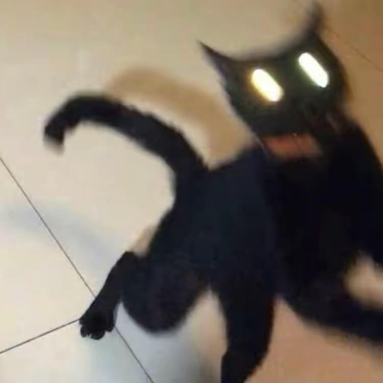 猫条