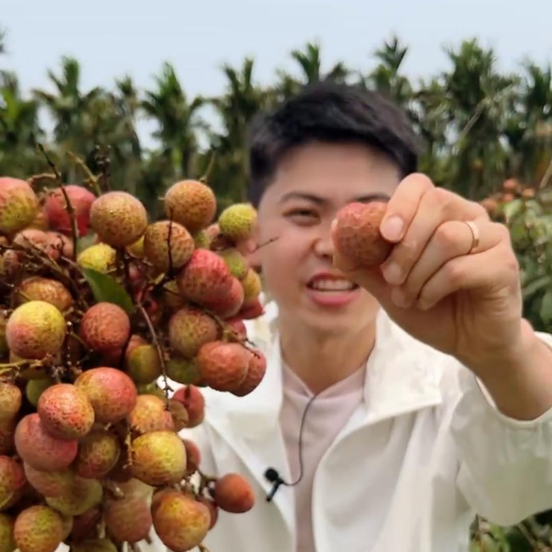 金鱼爸爸