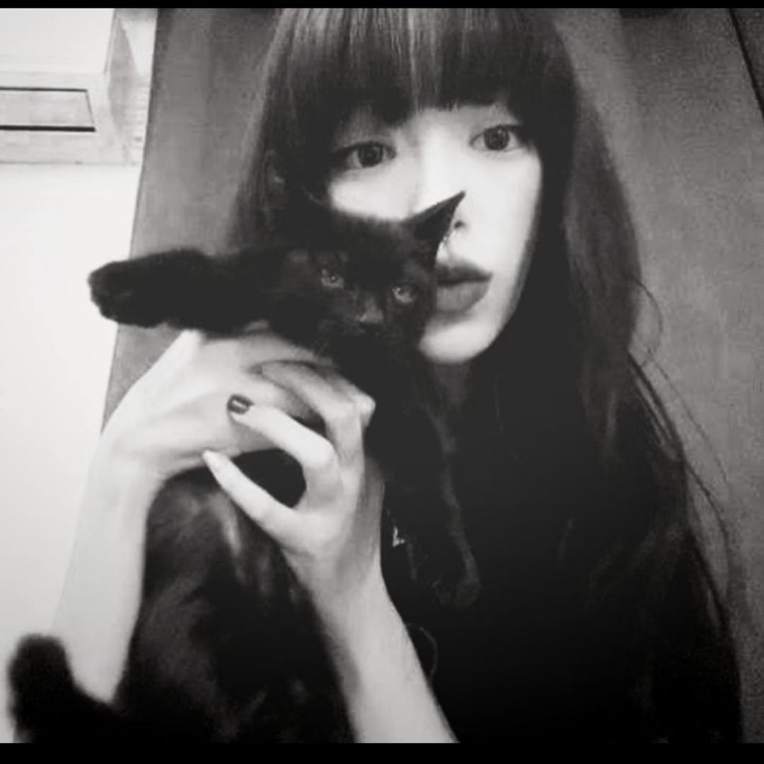 那我懂你意思了ㅤ