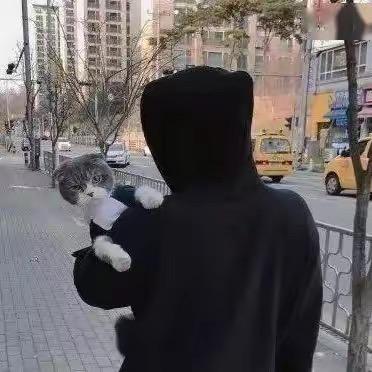 帆宇追剧