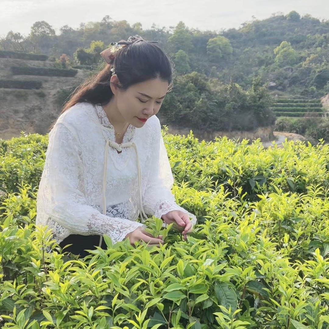 潮汕林小丫茶业
