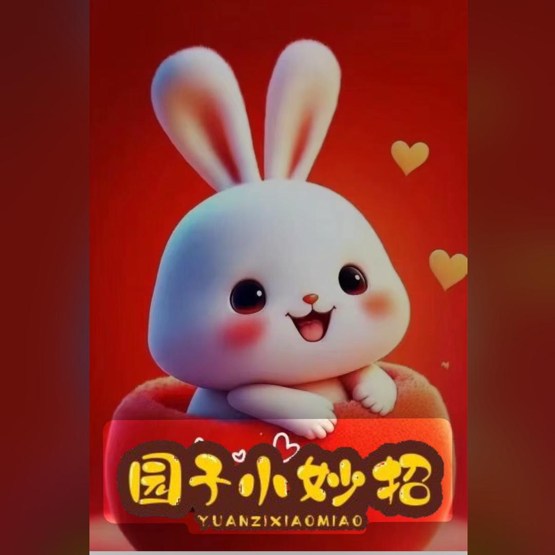 园子小妙招